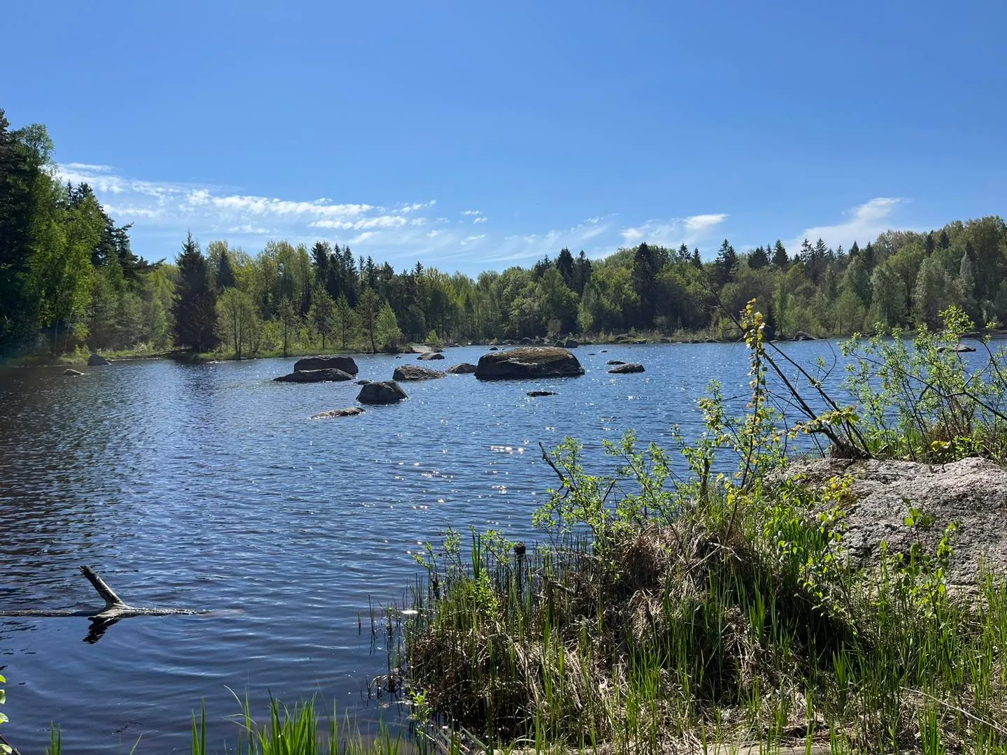 The Dalälven at Bredforsen Nature Reserve on a clear spring day.