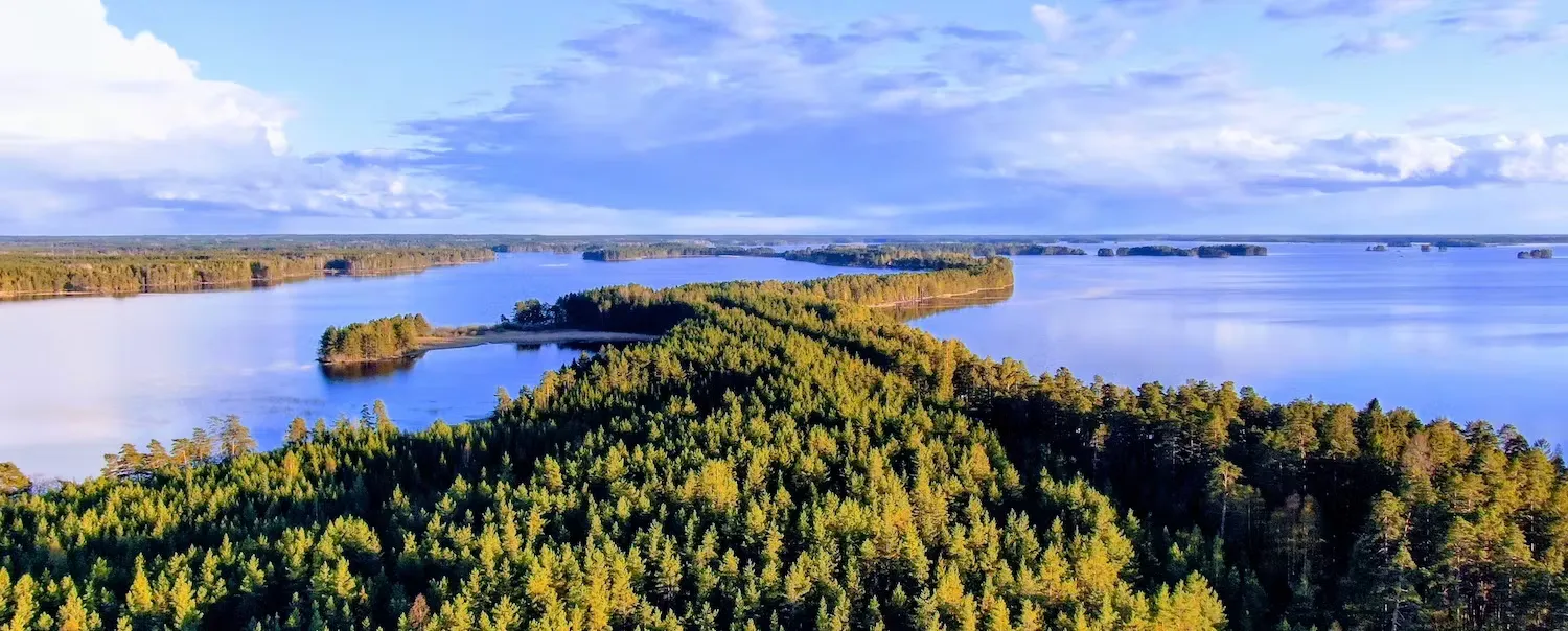 Summer landscape beside the Dalälven near Hedesunda.