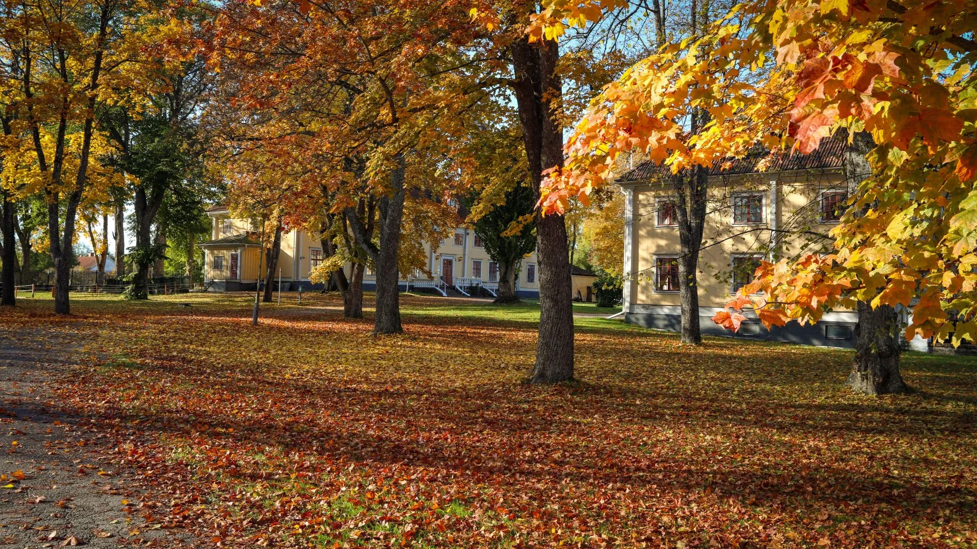 Das Herrenhausgelände im farbenfrohen Herbstlaub.