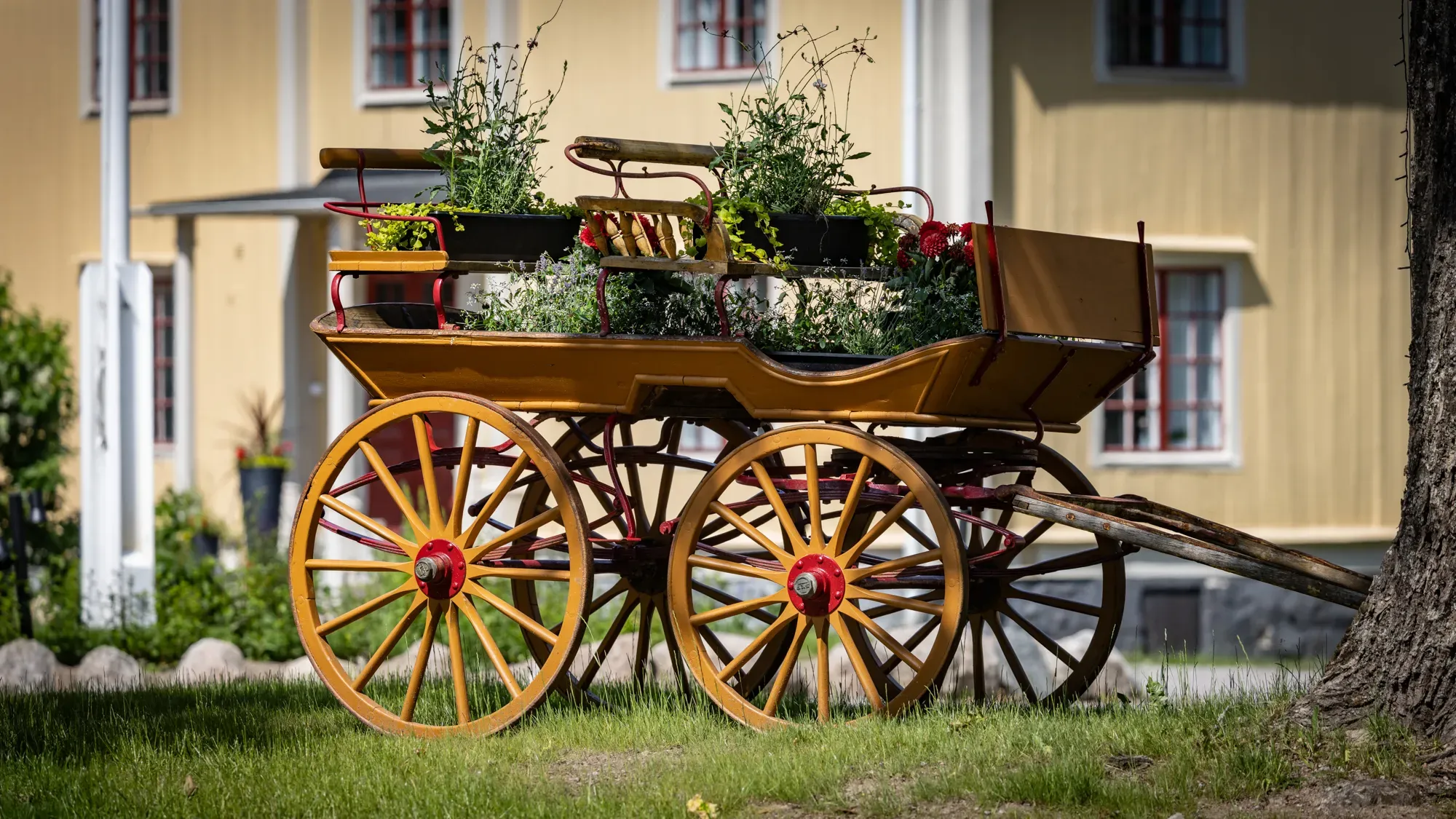 Historischer, mit Blumen geschmückter Wagen vor dem Herrenhaus.