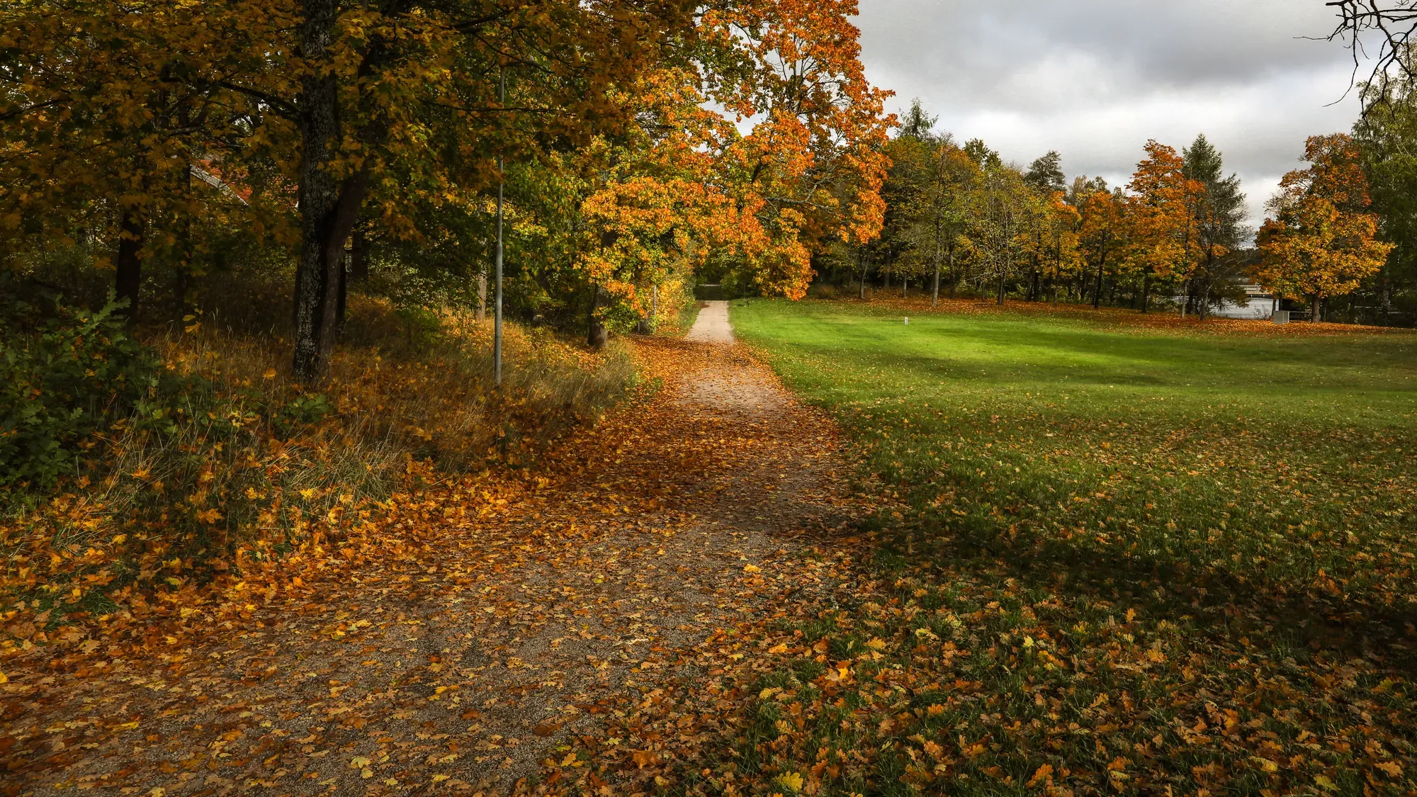 Leaf-covered walking trail through Söderfors in autumn.