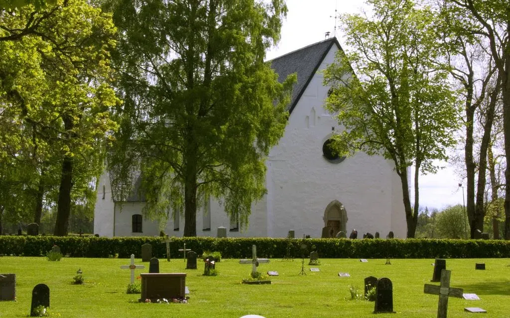 White medieval Tierp Church surrounded by summer greenery.